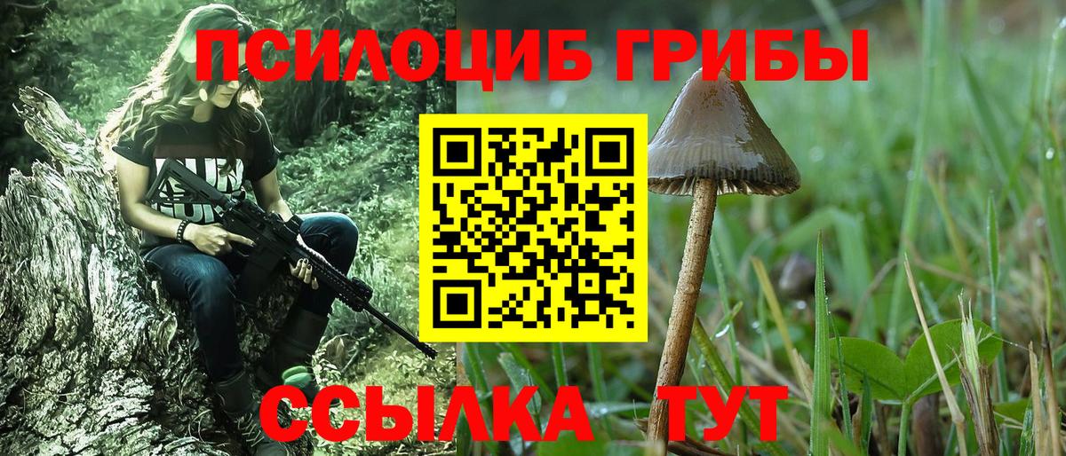 Псилоцибиновые грибы Psilocybine cubensis Славянск-на-Кубани