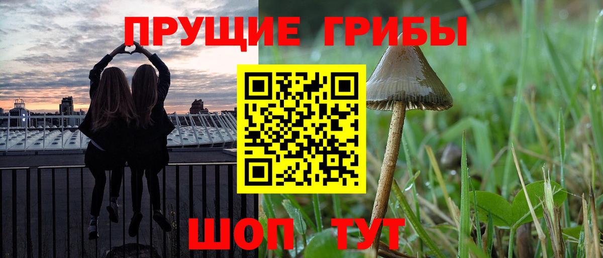 Псилоцибиновые грибы Cubensis  Вход с VPN  Славянск-на-Кубани 